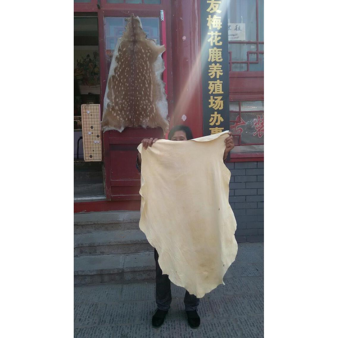 鹿场直销纯正梅花鹿皮擦车布，鹿皮巾，整张，半张