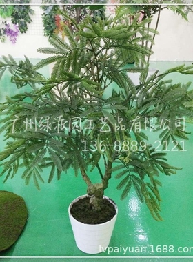 仿真国槐树 仿真国槐叶 仿真国槐花 玻璃钢仿真国槐树  酸豆角树