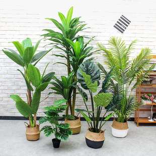 仿真巴西铁散尾葵芭蕉树龟背绿植假树家居客厅商场店铺装饰摆件