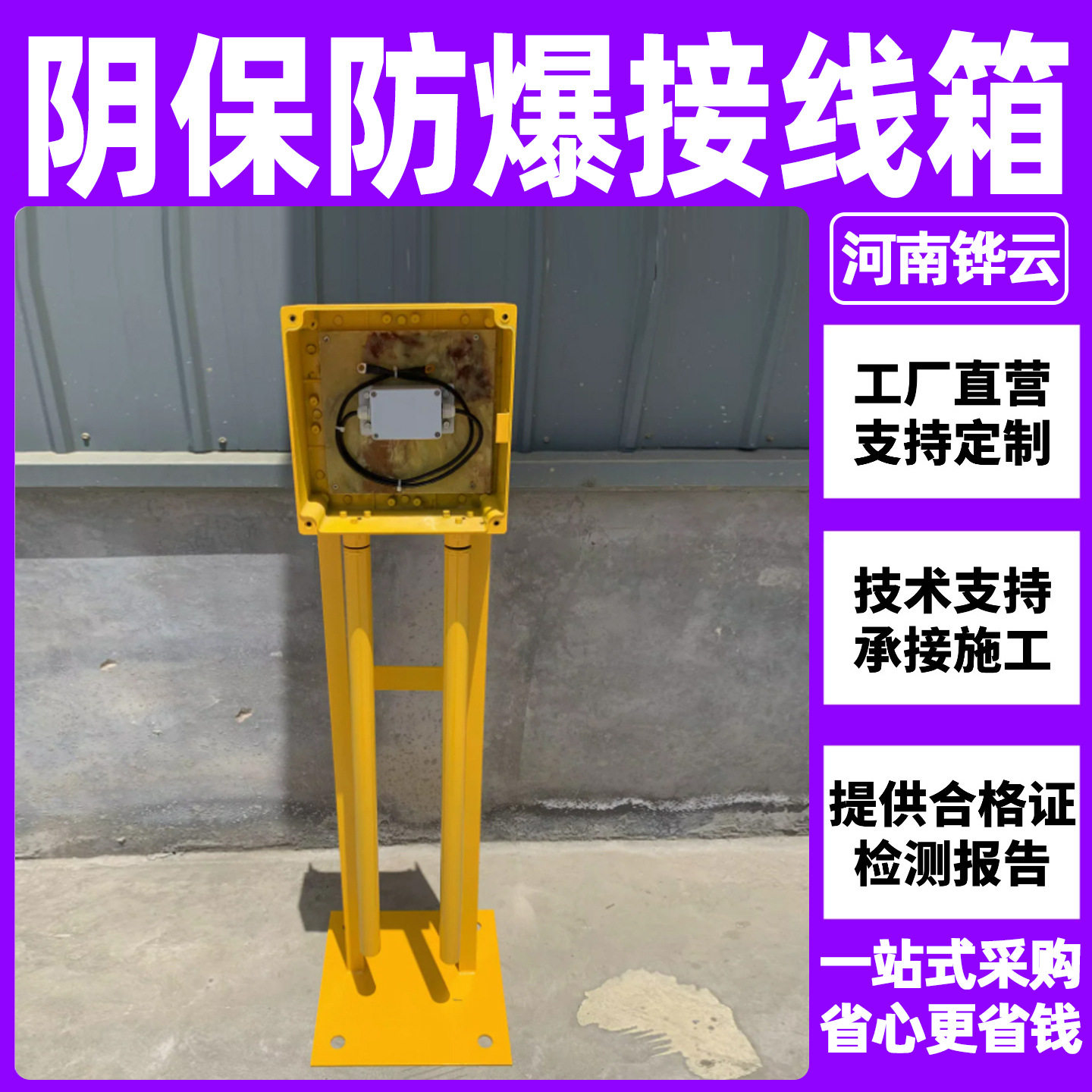 阴极保护防爆接线箱不锈钢带立柱阳极隔爆型分线箱智能测试桩