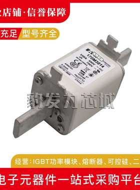 170M3568 170M3569 170M3570 170M3571 170M3572 170M3573熔断器