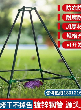 树木支撑杆大树固定器铁抱箍绿化行道H树苗木支T撑架热镀锌绿色烤