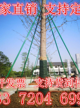 树木支撑架大树固定器铁抱箍绿化行道树苗木支撑杆热镀锌绿色烤漆