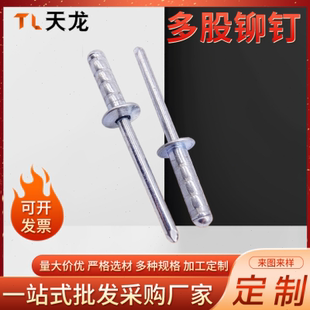抽芯铆钉多股拉钉圆头卯钉4 双股铁拉钉拉铆钉结构镀锌多股铆钉