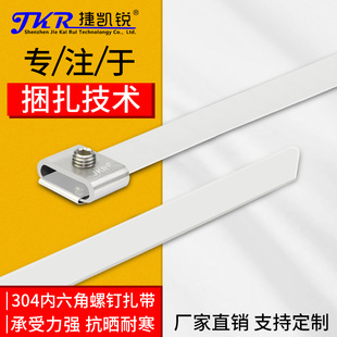304不锈钢内六角螺丝抱箍扎带30条一包抱箍扎带