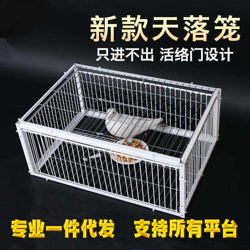 鸽子用品用具鸽子活络门撞门信鸽赛鸽用品加厚加密回笼门鸽具碰门