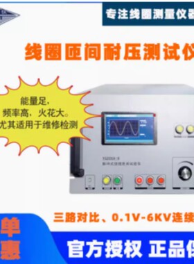 上海沪光 YG206A-6 匝间冲击耐压测试仪0-6KV