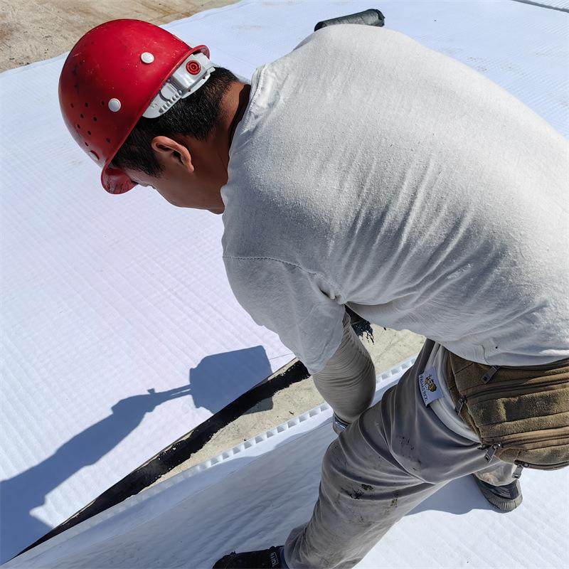 分子防护水异形片 海绵吸城市虹排水系统排 虹吸排水高ICI板厂家,农用物资,土壤透气管,淘宝优惠券,粉丝福利购,淘宝优惠卷