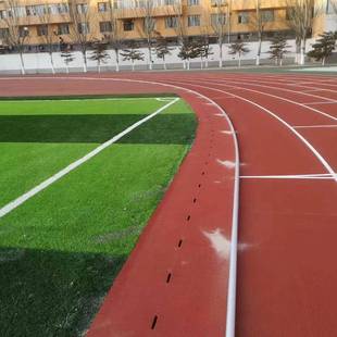 厂塑胶道道牙足球场运动场坪铝合金家压边条跑铝草合金249道牙