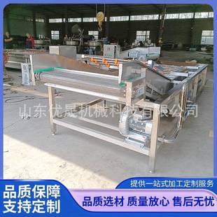 青萝卜气965泡清线洗 水果菜气泡清洗机 洗胡萝蔬卜清风干线