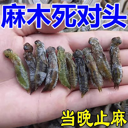 新品治四肢麻木手脚发麻手臂酸胀脚趾G腿麻抽筋颈椎压迫酸痛止麻