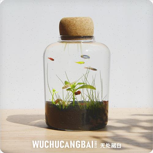极速生态瓶微景观鱼造景DIY小鱼缸水G族办公桌面客厅创意观赏免换