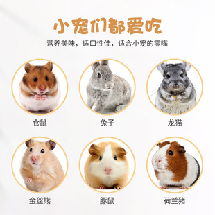 极速兔子小零食仓鼠金丝熊荷兰猪龙E猫兔兔磨牙棒营养套装用品苹