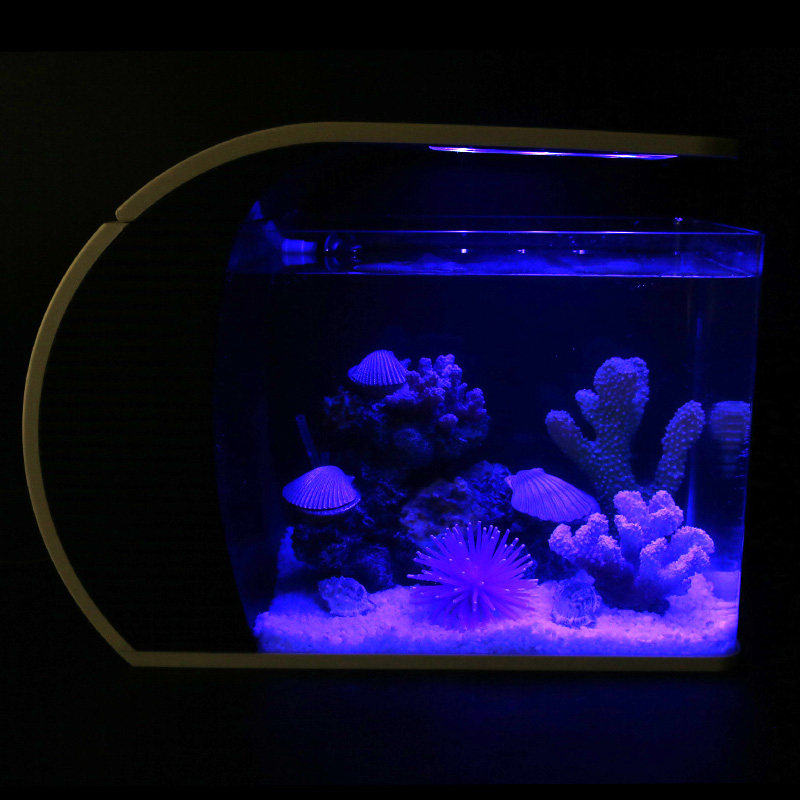 新品热带b金鱼缸水族箱小型珊瑚套餐鱼缸玻璃造景静音生态真水草