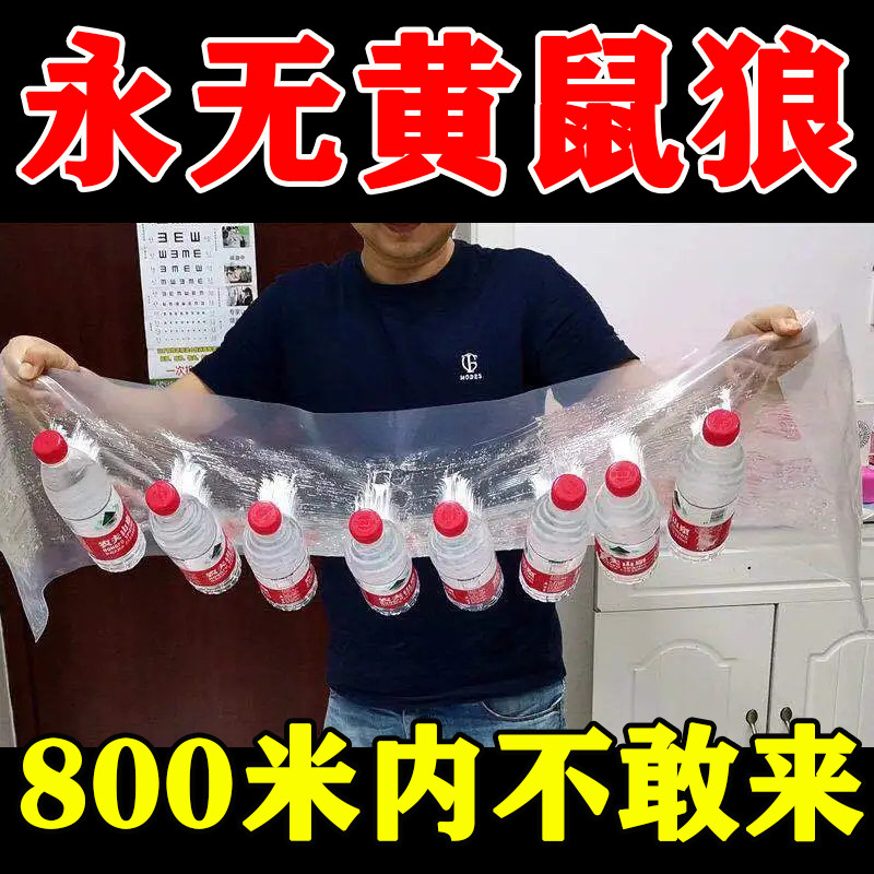 极速老鼠贴强力粘鼠板超强高粘度灭鼠笼/捕鼠器