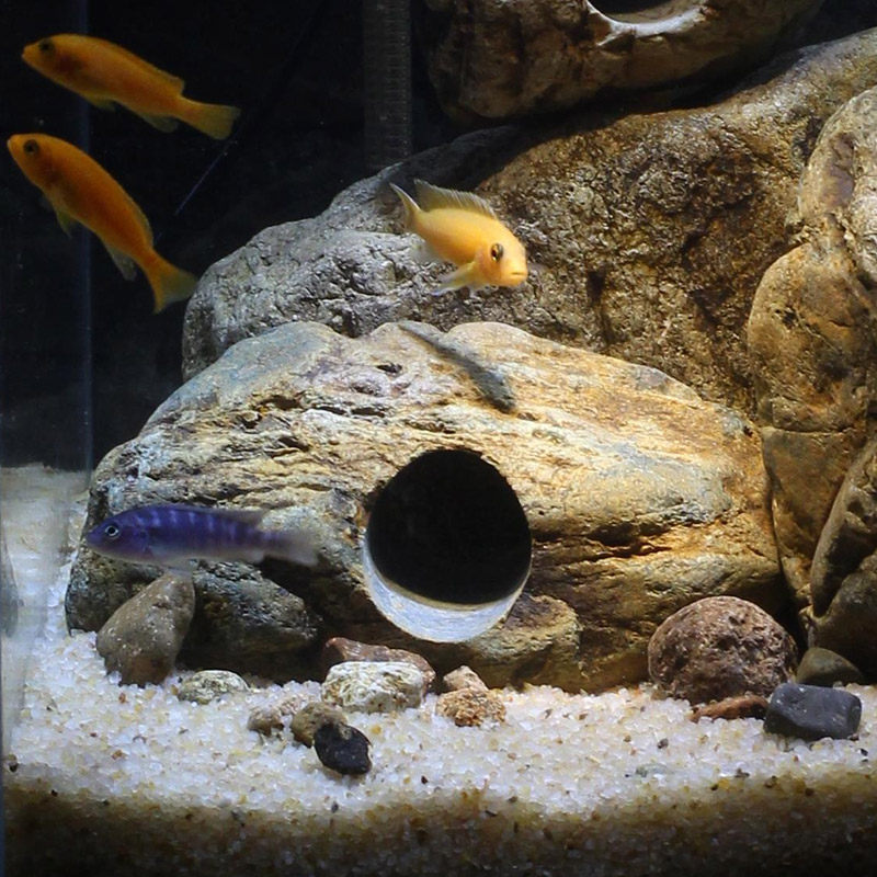 新品鱼缸原生造景石天然真石头洞繁殖产I卵鱼窝躲避慈鲷鹅软石虾