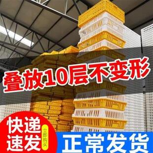 极速鸡笼子肉f鸡运输笼鸭子小号防漏兔子畜牧鸡场鸡圈笼子笼子篓