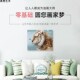 新品 饰丙烯画油 数字油画dhiy填充手工手绘母仪天下填色老虎画画装