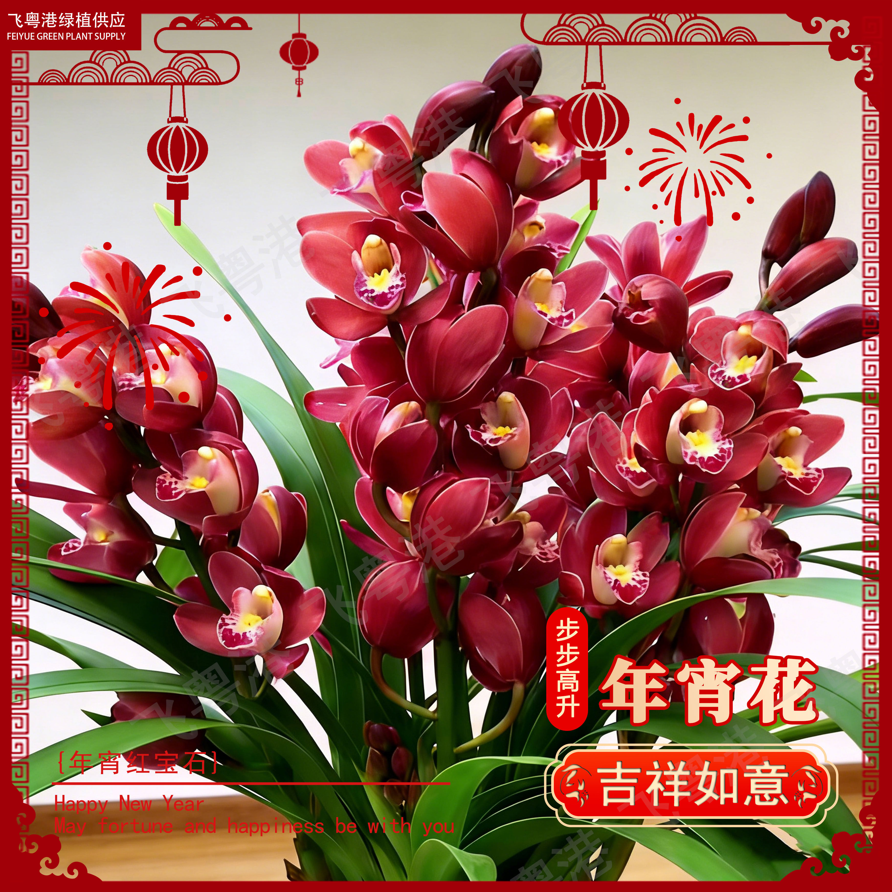 蕙兰红宝石5-8花剑起室内外好养四季开花浓香的兰花花卉盆栽,鲜花速递/花卉仿真/绿植园艺,国兰/杂交兰/洋兰类,淘宝优惠券,粉丝福利购,淘宝优惠卷