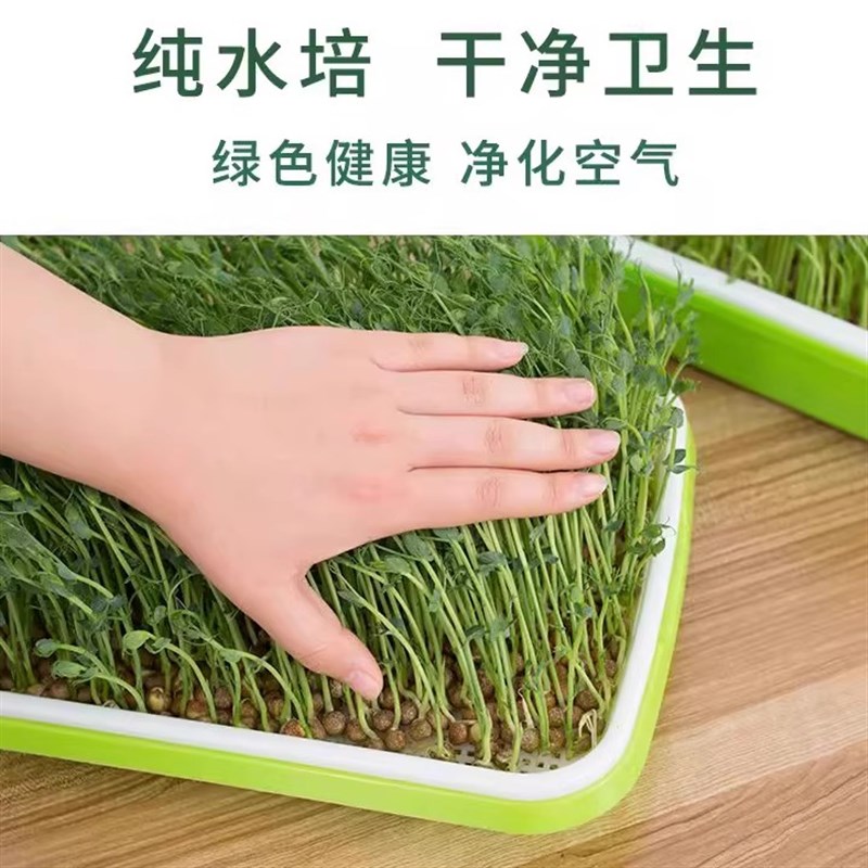 热销育苗盘种植发芽盆大容u量家用豌豆苗蒜苗豆芽机发豆芽专用盆