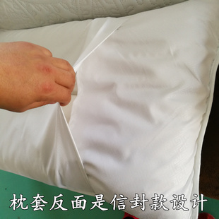 极速出口酒店防水枕套防流口水z头油防螨虫白色儿童乳胶枕芯枕头