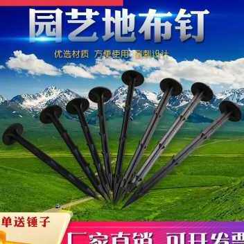 极速厂销厂销新款塑料地钉加粗D加D长果园艺地布钉拉枝固定大棚地