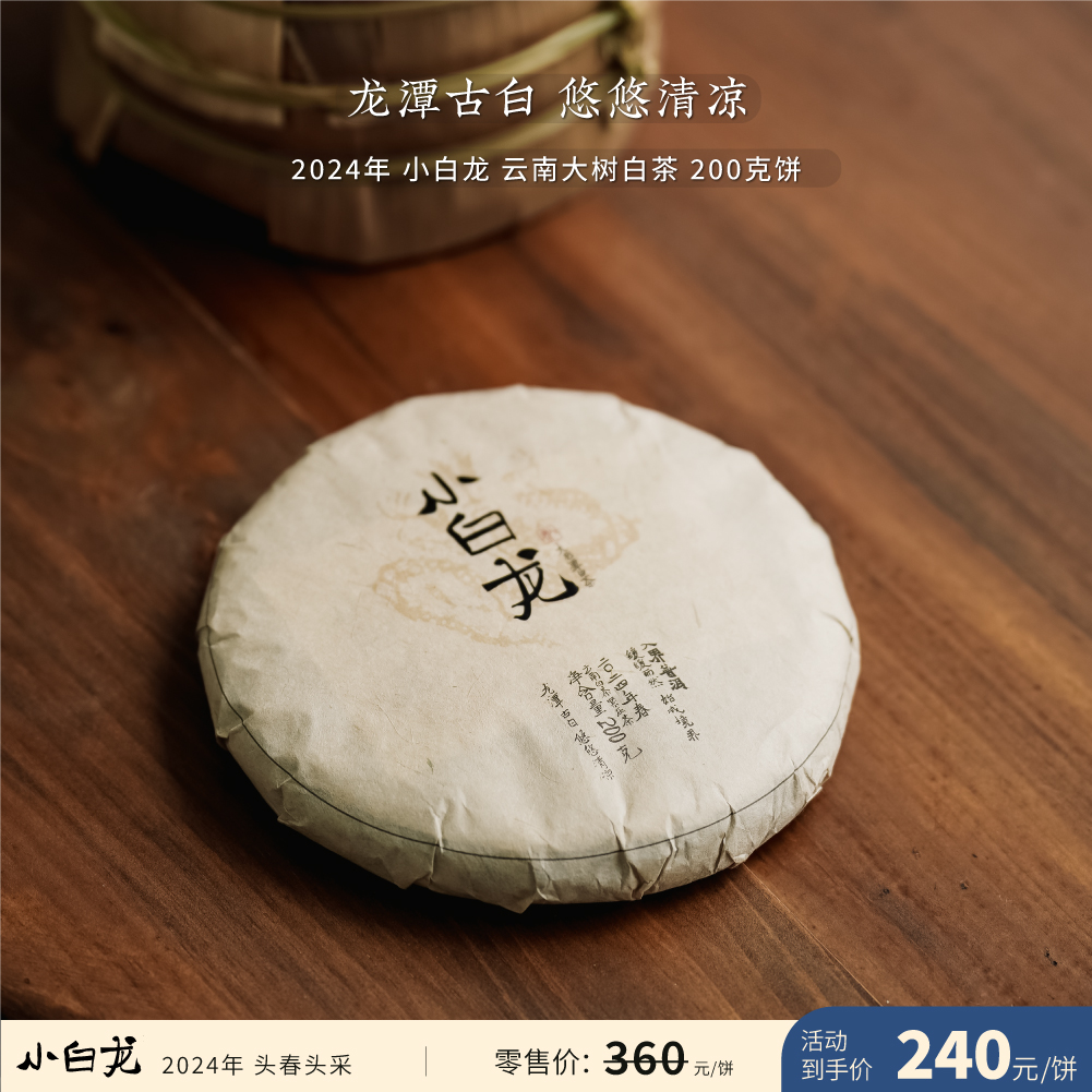 2024年头春头采凤庆大叶种古树白茶
