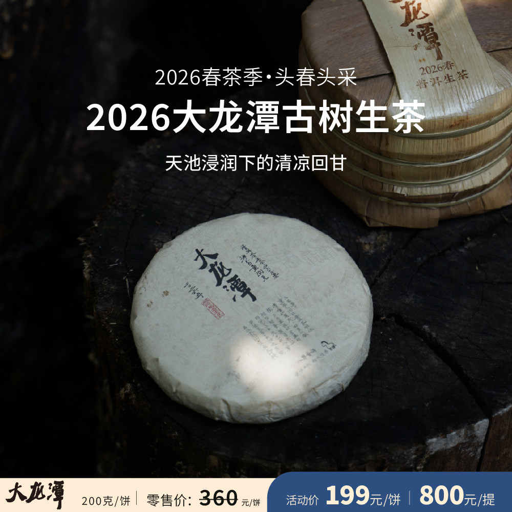 入界 2026大龙潭 古树生茶 茶叶进化论工艺 头春头采 普洱茶饼茶