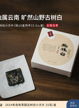 入界 2024柏林白小方片 茶叶进化论自有茶园 古树白茶 5片盒装
