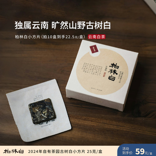 入界 2024柏林白小方片 茶叶进化论自有茶园 古树白茶 5片盒装
