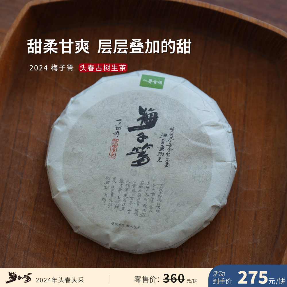 2024年 梅子箐 茶叶进化论工艺 云南普洱茶生茶200克饼