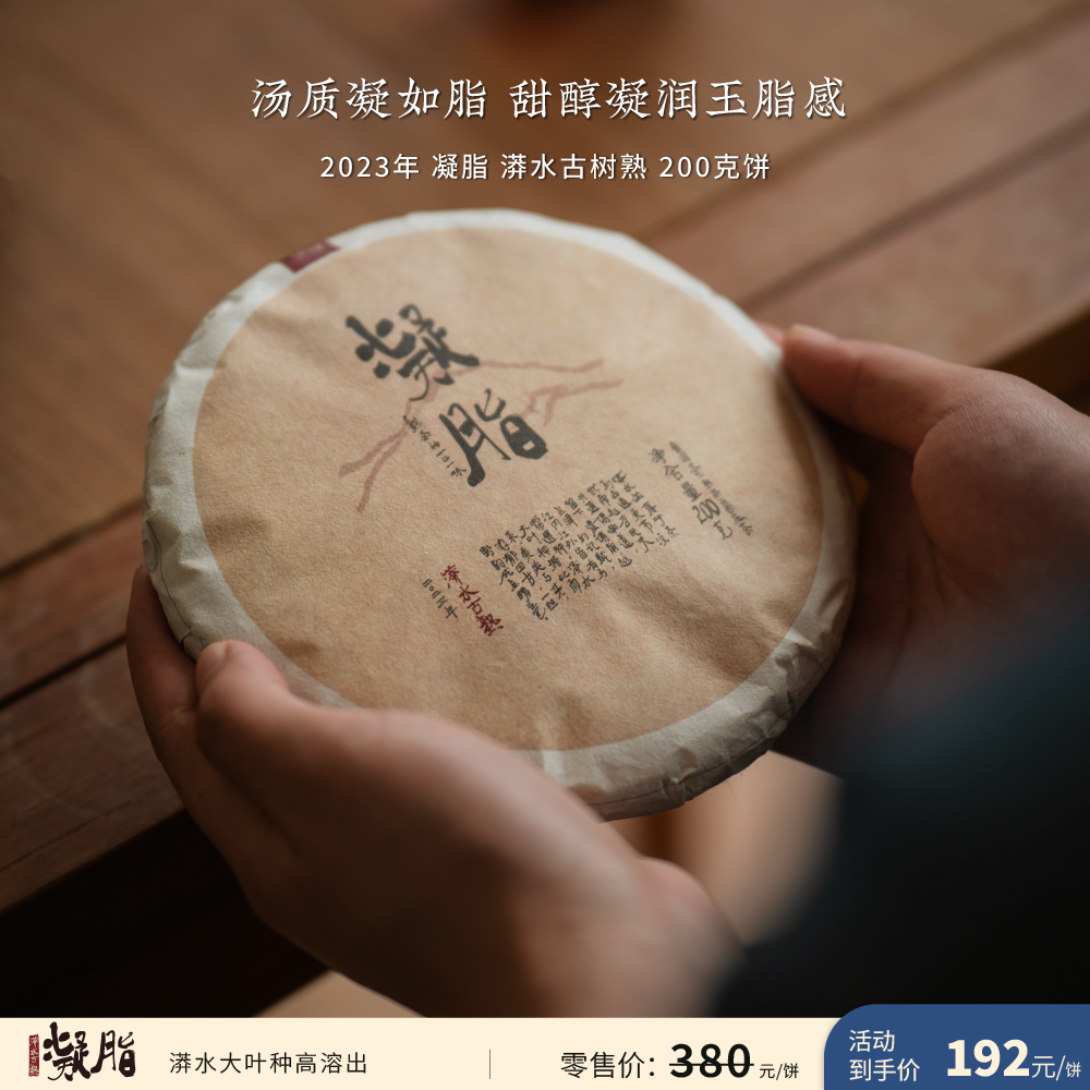 入界 2023年 凝脂 漭水古树 茶叶进化论工艺 普洱茶熟茶 200克饼