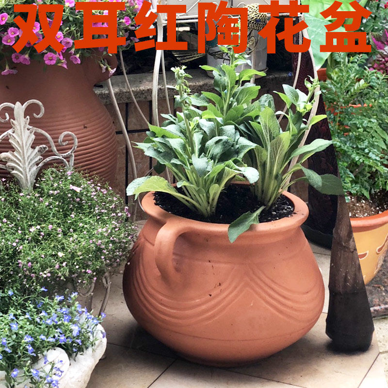 现货速发小口径双耳红土景观陶罐小品酒店花园欧式土陶花盆龙窑手