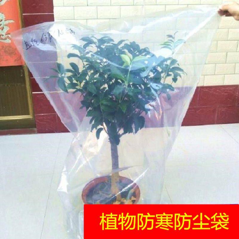 现货速发绿植物防冻保温袋塑料膜花卉盆栽过冬床包树木防寒布防尘