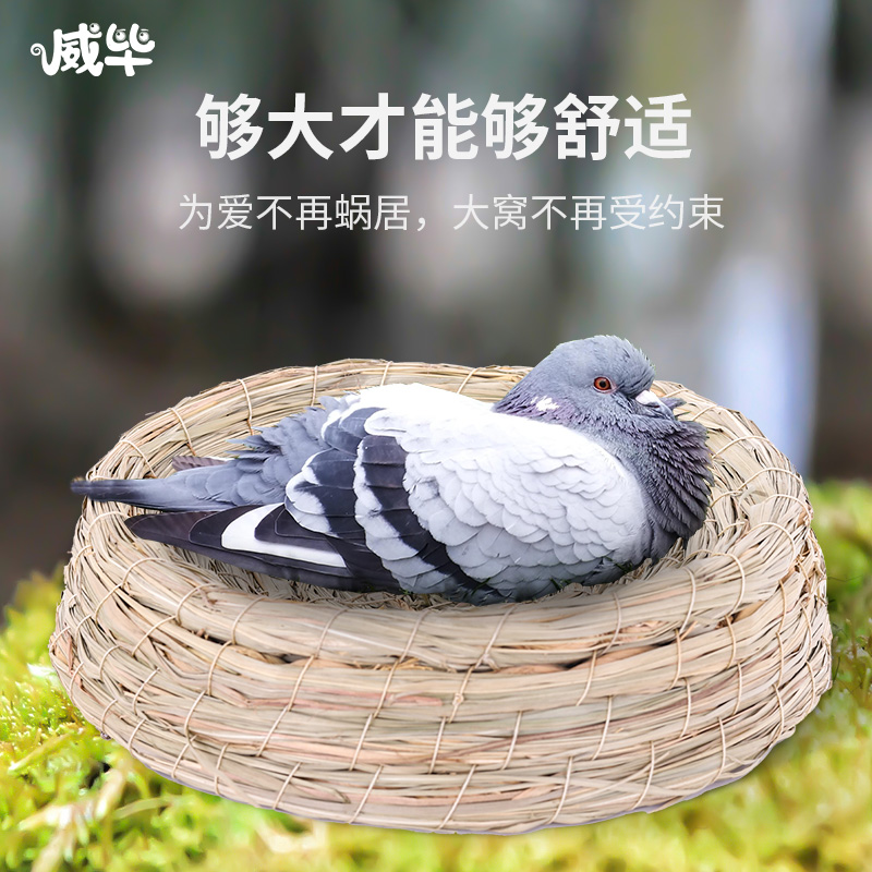 速发鸽子窝草子鸟窝鹦鹉窝大号保暖鸟巢窝芦丁鸽窝鸡编用品用具大