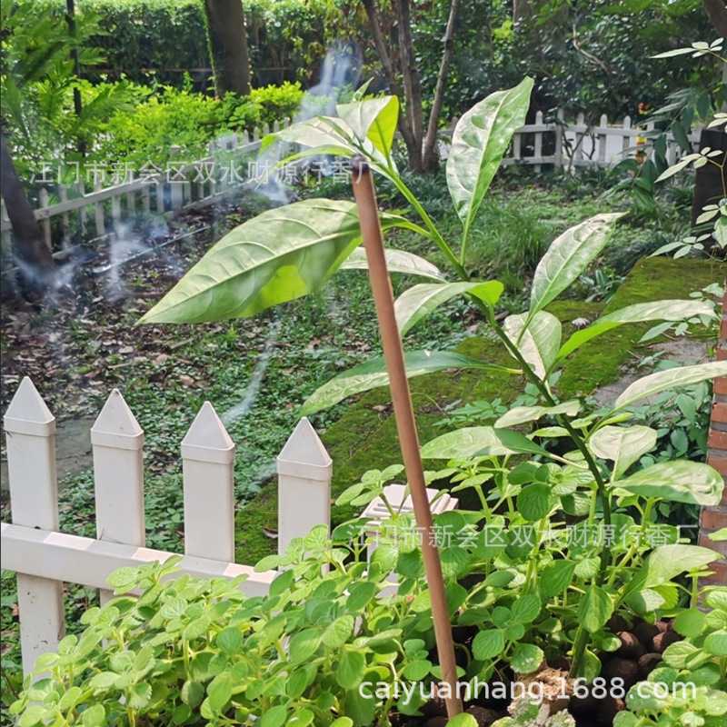 艾草蚊香棒香防蚊钓鱼露营专用