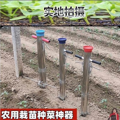 速发早用蓝用栽苗神器家春蔬菜辣椒西瓜种菜器羽衣甘农播种器种植