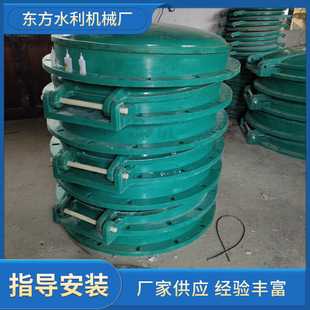 市政污水防倒灌鱼塘用DN150-DN1200耐腐蚀玻璃钢拍门水利止水拍门