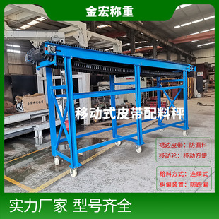 稱重給料機 使用方便 帶式 河南港口專用恒速定量爬坡型配料秤