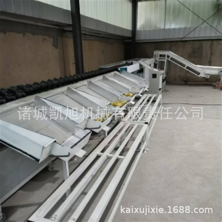 水果自动分果机 百香果克重分选机 西红柿全自动筛选设备生产厂家