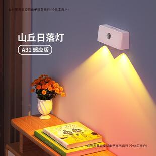 道自动人体感应灯氛围灯过入户门楼梯即亮人来日落款夜间玄关包邮