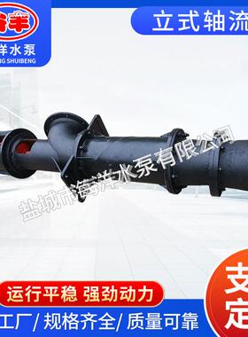 铸铁立式轴流泵水利工程边立式轴流泵农田灌溉250ZLB型轴流泵