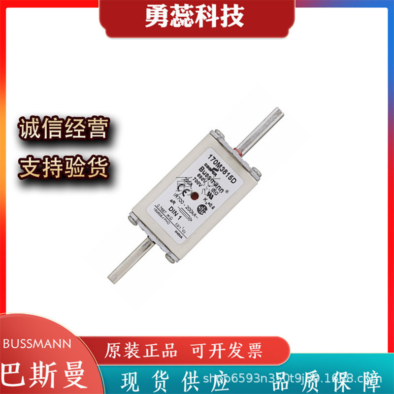 快速熔断器170M3815D/6/D