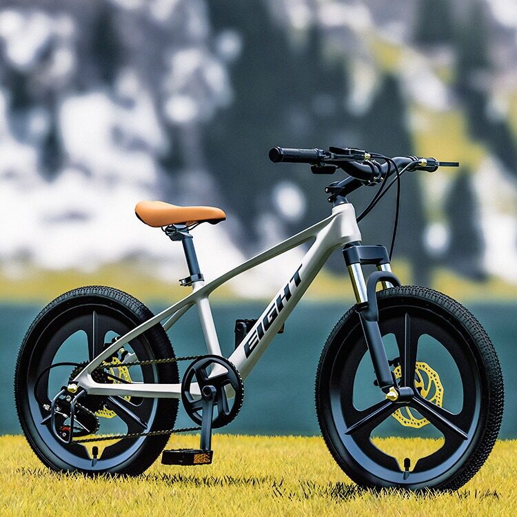 镁合金儿童自行车男女孩9-12岁20寸22寸学生大童变速山地单车