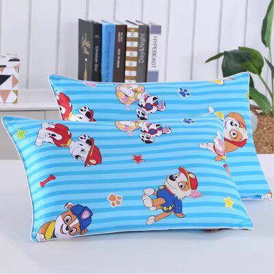 极速幼儿园专用枕套一对装儿童婴儿小学生纯棉R枕套多功能卡通四