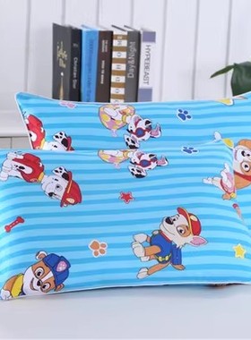 极速幼儿园专用枕套一对装儿童婴儿小学生纯棉R枕套多功能卡通四