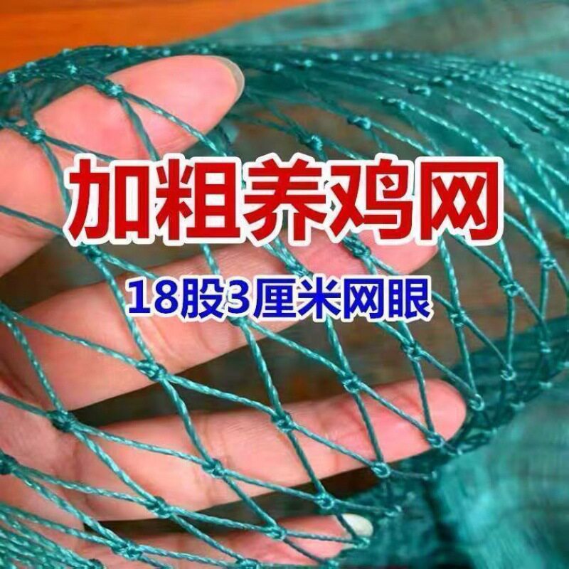 极速18a股加粗养鸡网围鸡网防鸟网鸡围栏菜园网顶网护栏网天网渔