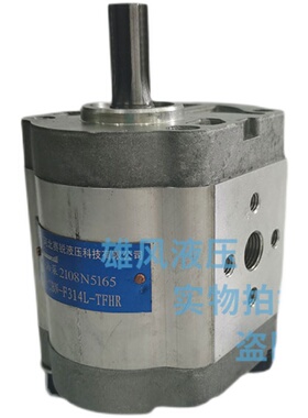 极速齿轮泵CBN-F314Ll-F304L F306L F31D0L F316L CBN-F320L F325