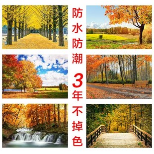 飾畫紅葉森林樹木落葉圖片自然山水客廳墻貼壁 速發(fā)秋天風(fēng)景海報(bào)裝