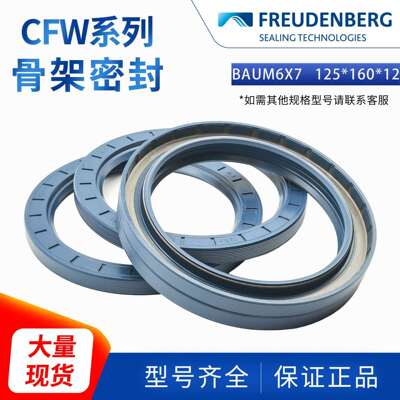 科德宝FREUDENBERG德国骨架油封NBR丁腈BAUM6X7 125*160*12 ACFW1